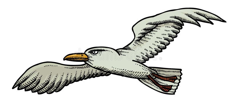 Cartoon image of seagull stock vector. Illustration of flutter - 95671045