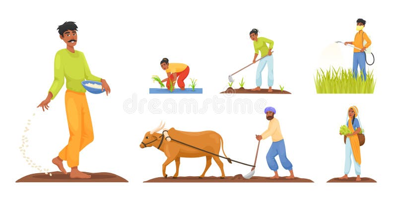 cartoon indian farmers traditional rural farmer farms village india agricultural gardering ploughing field agrarian man woman 253678531