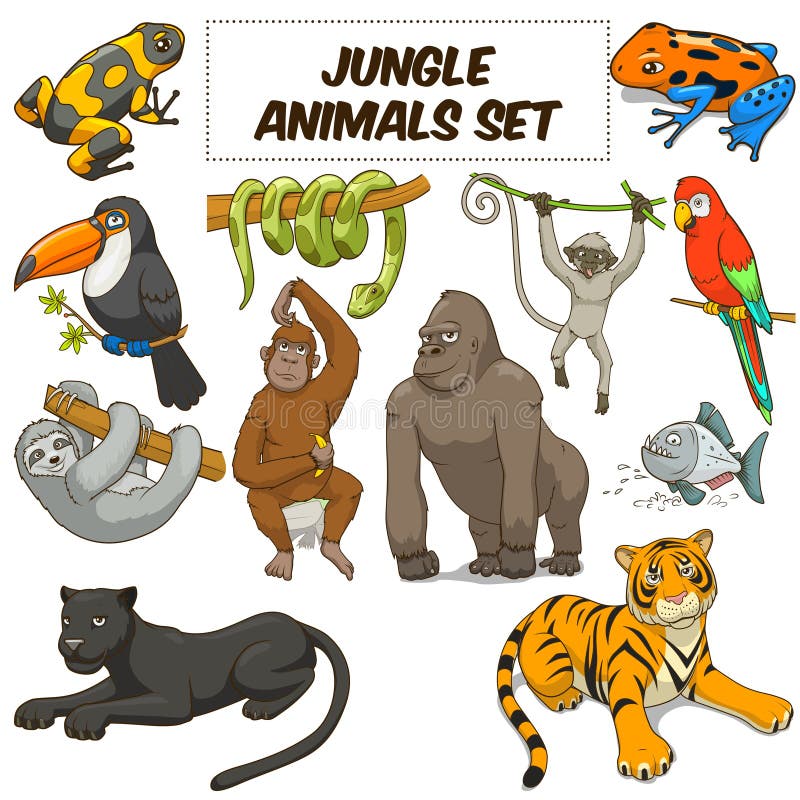 Jungle Animals Set Stock Illustrations – 12,607 Jungle Animals Set Stock  Illustrations, Vectors & Clipart - Dreamstime