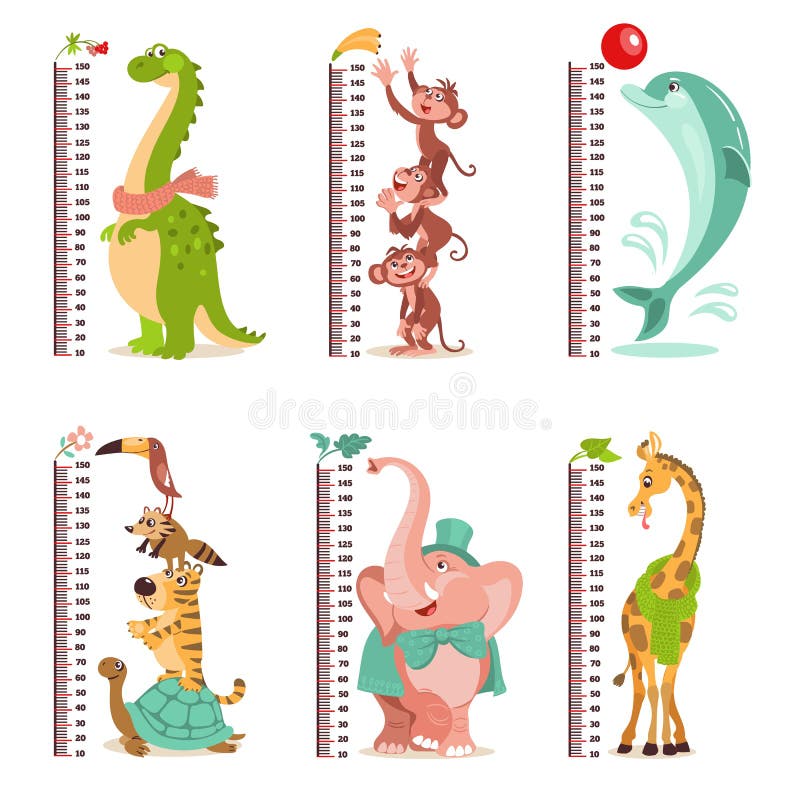 Growth Rulers Stock Illustrations – 136 Growth Rulers Stock