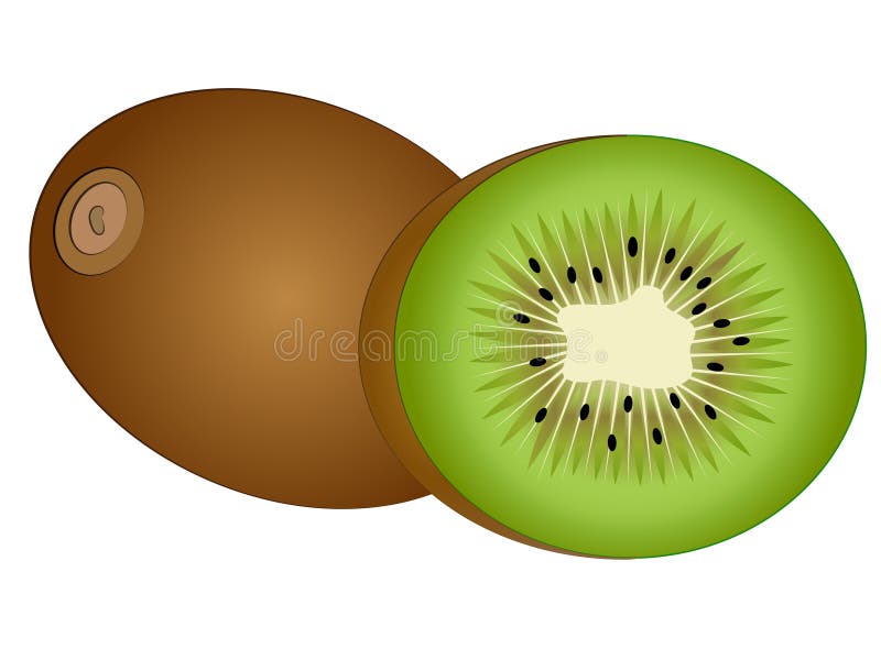 Cartoon Kiwi Fruit stock photo. Illustration of kiwi - 81332346