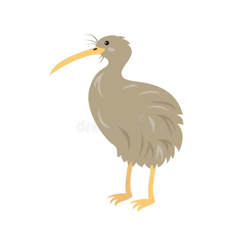 Cartoon kiwi icon on white background.