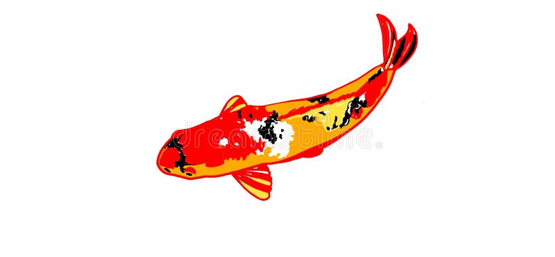 Koi Fish are Auspicious Fish of the Japanese People. Stock Illustration -  Illustration of beautiful, wing: 231419428
