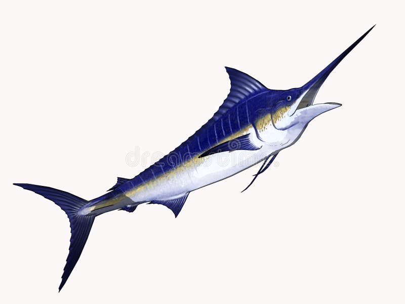 Cartoon Marlin