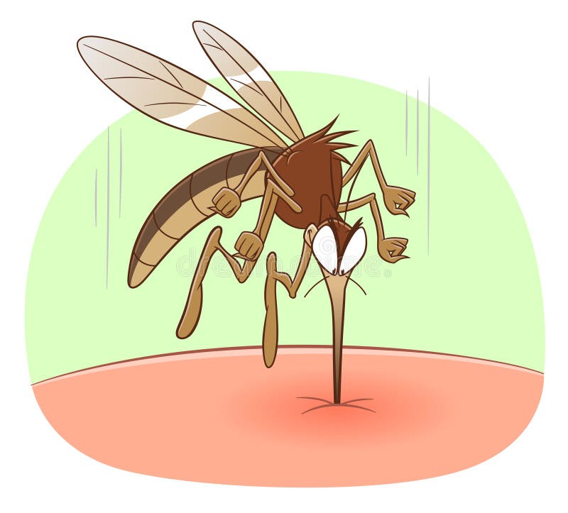 Mosquito biting human skin stock vector. Illustration of suck - 159221725