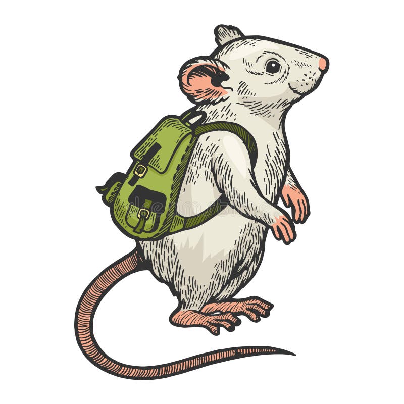 Cartoon mouse with backpack color sketch engraving vector illustration. Scratch board style imitation. Black and white hand drawn image. Cartoon mouse with backpack color sketch engraving vector illustration. Scratch board style imitation. Black and white hand drawn image.