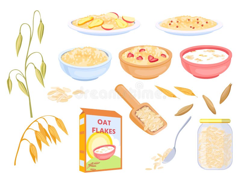 Cartoon oatmeal breakfast cereals, sweet flakes and grains. Oat plant and seed. Porridge with fruit in bowl. Healthy