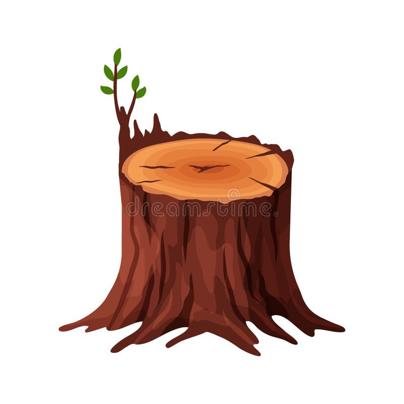 Cartoon old tree stump with cracks and roots isolated on white background. Tree stump vector illustration royalty free illustration Cartoon old tree stump with cracks and roots isolated on white background. Tree stump vector illustration royalty free illustration