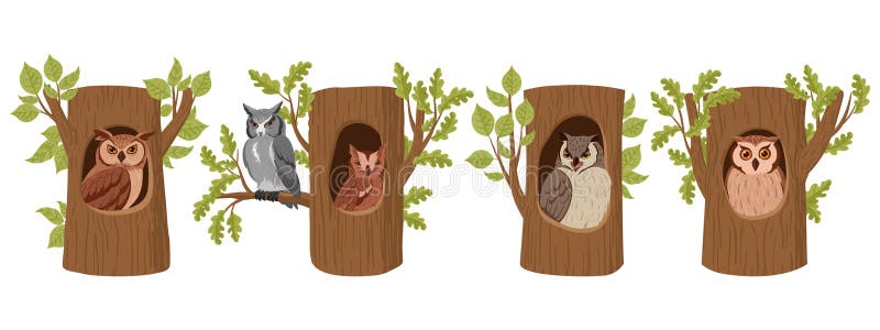 Cartoon owls in tree hollows. Wild forest owl birds sitting in woods house, wildlife birds oak nests flat vector illustration set