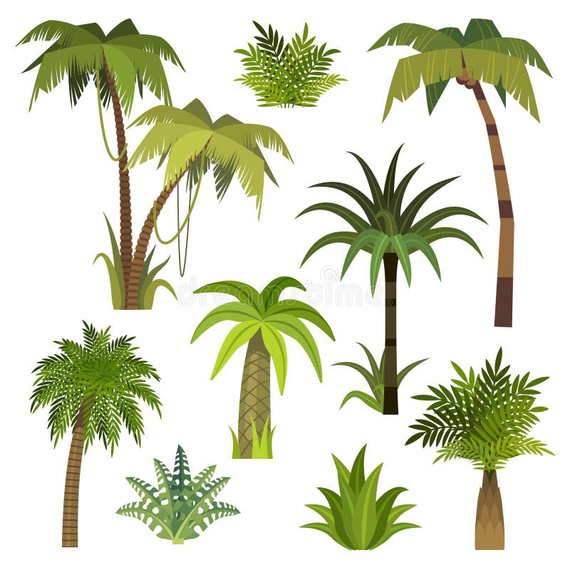 Cartoon palm tree. Jungle palm trees with green leaves, exotic hawaii forest, miami greenery coconut beach palms stock illustration Cartoon palm tree. Jungle palm trees with green leaves, exotic hawaii forest, miami greenery coconut beach palms stock illustration
