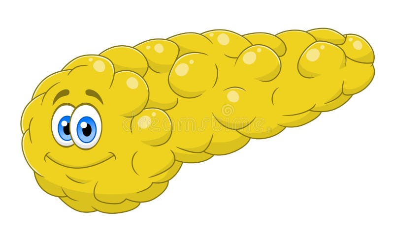 funny pancreas drawing