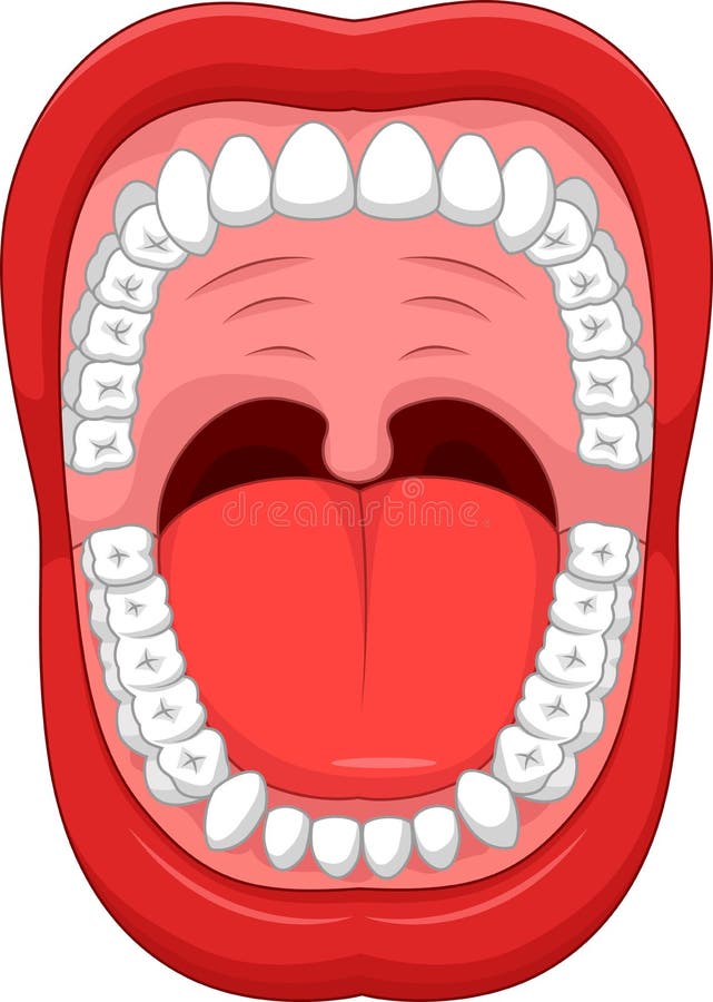 Cartoon Parts of Human Mouth. Open Mouth and White Healthy Tooth Stock Vector - Illustration of tongue, soft: 56088562 Cartoon Parts of Human Mouth. Open Mouth and White Healthy Tooth Stock Vector - Illustration of tongue, soft: 56088562