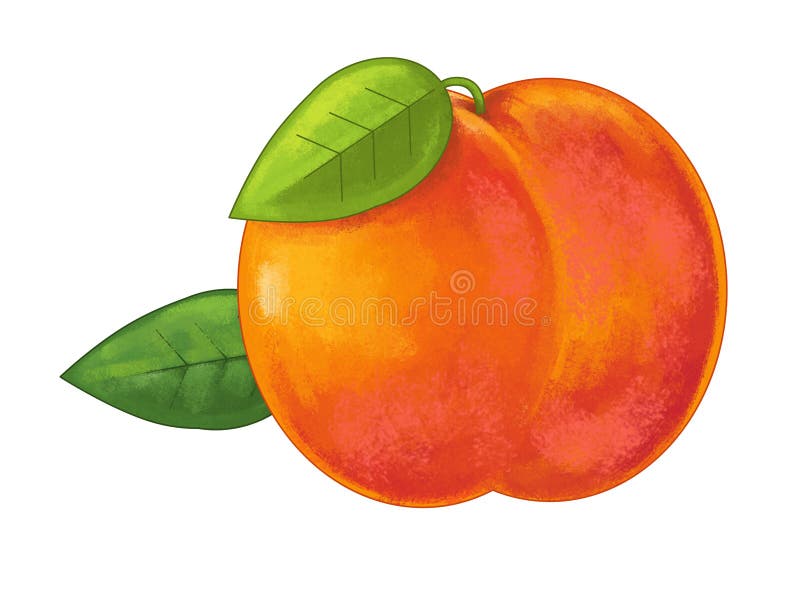 Cartoon Peach on White Background - Illustration Stock Illustration - Illustration of cooking, exotic: 185702063 Cartoon Peach on White Background - Illustration Stock Illustration - Illustration of cooking, exotic: 185702063
