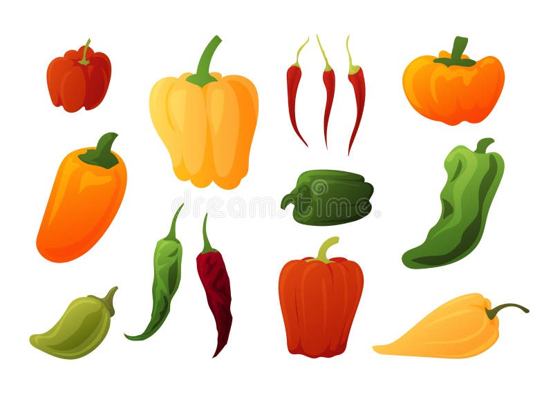 Cartoon pepper. Healthy organic vegetables. Orange and red sweet paprika. Chilli bell and pimento. Green jalapeno