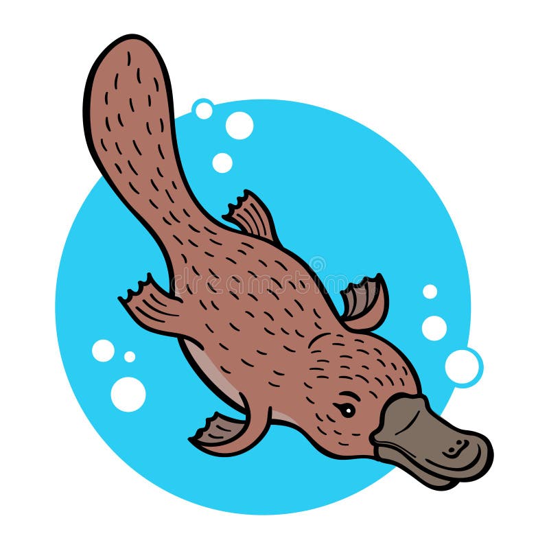 cartoon about platypus cartoon about platypus