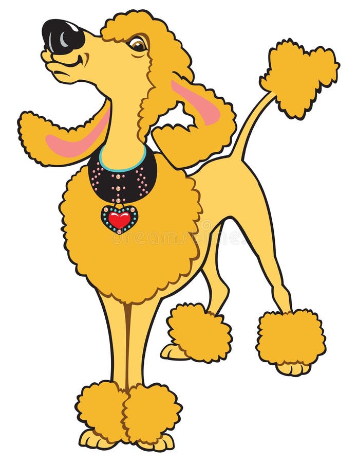 Cartoon poodle