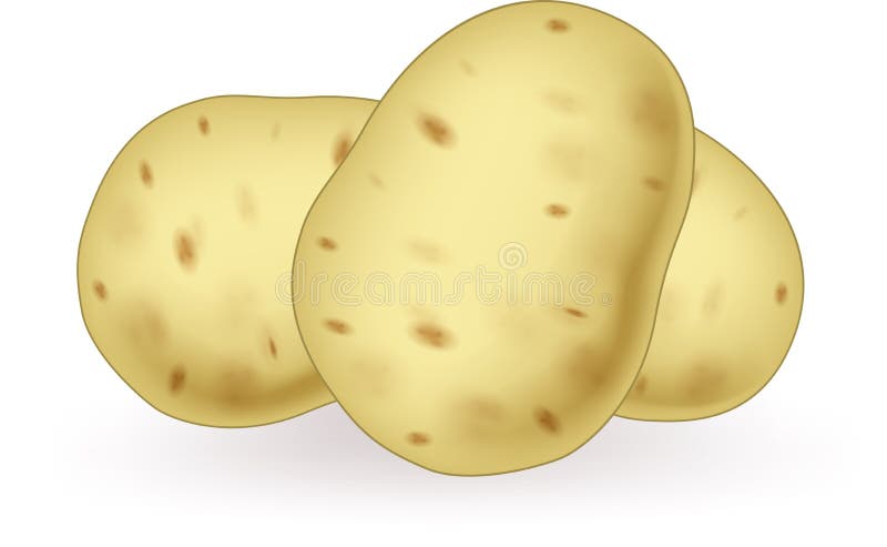 Cartoon Potato on White Background Stock Vector - Illustration of