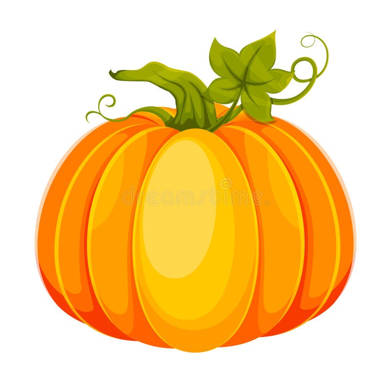 Cartoon Pumpkin. Big Fresh Pumpkin Stock Vector - Illustration of plant,  agriculture: 227611446