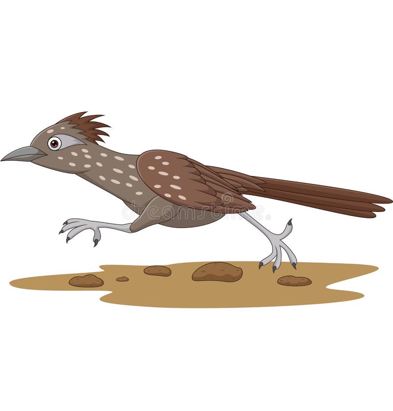Cuckoo Bird Cartoon Stock Illustrations – 623 Cuckoo Bird Cartoon Stock Illustrations, Vectors & Clipart - Dreamstime Cuckoo Bird Cartoon Stock Illustrations – 623 Cuckoo Bird Cartoon Stock Illustrations, Vectors & Clipart - Dreamstime