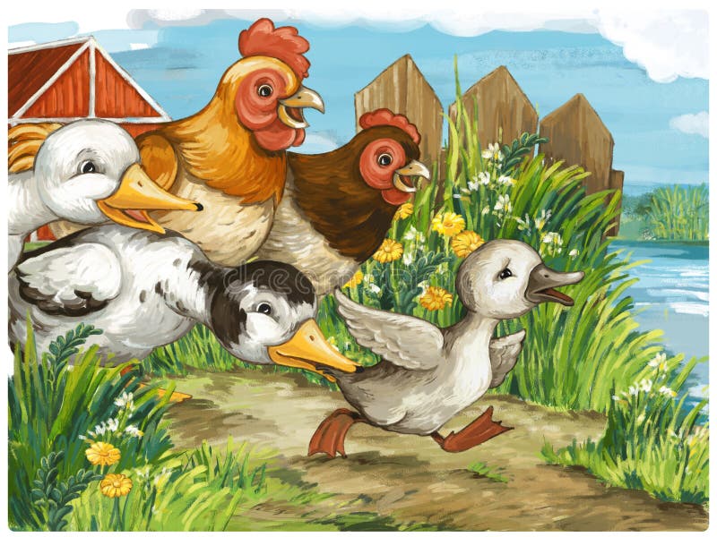 Cartoon scene with ducks on the farm and rooster illustration for children kids