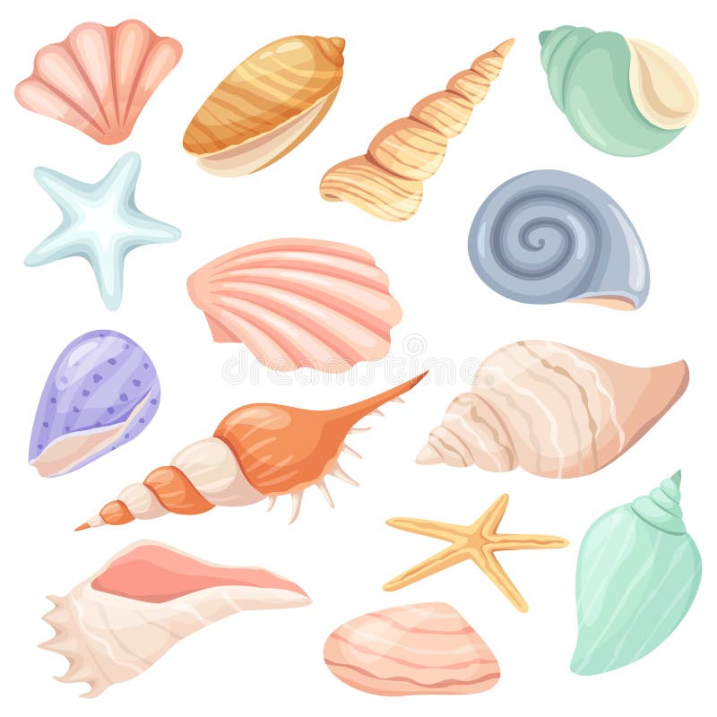 Cartoon seashells. Summer beach sea shells, underwater, ocea