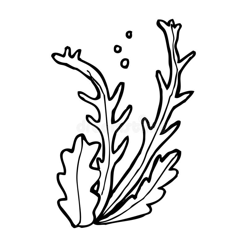 cartoon seaweed