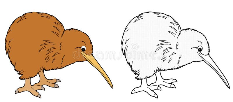 Cartoon Sketch Scene with Kiwi on White Background - Illustration Stock  Illustration - Illustration of animal, natural: 197994309