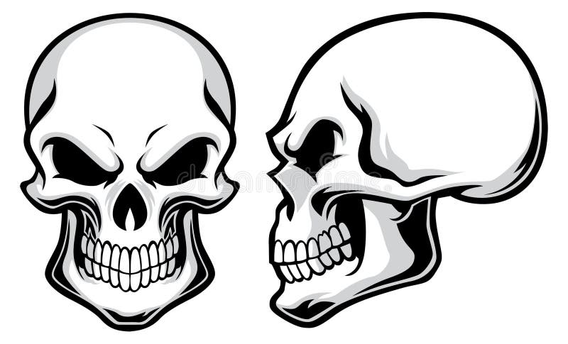 Cartoon skulls stock vector. Illustration of draw, horror - 35934299