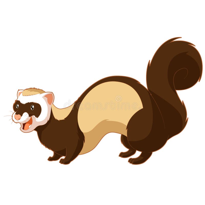 Free Clipart Ferret