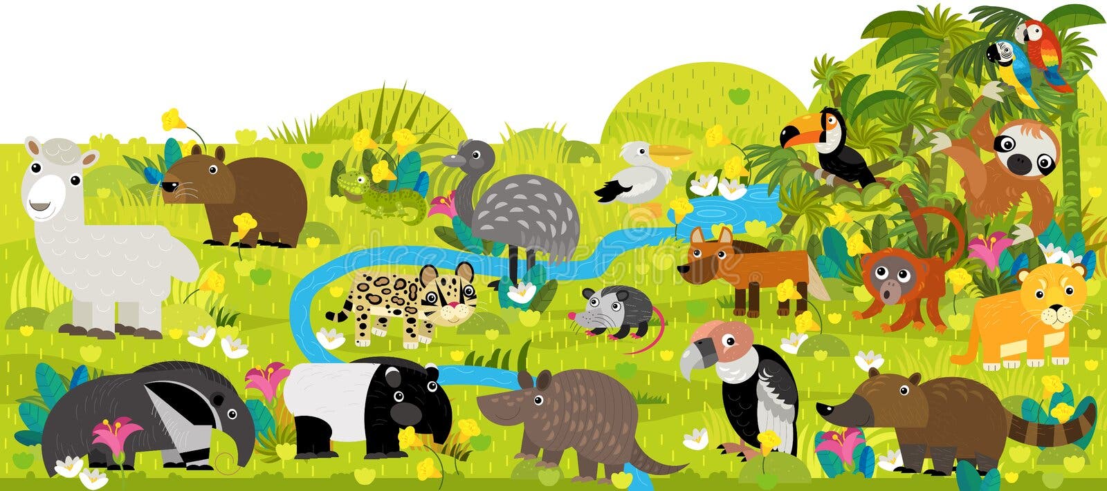 Educational Illustration Of Cartoon South American An - vrogue.co