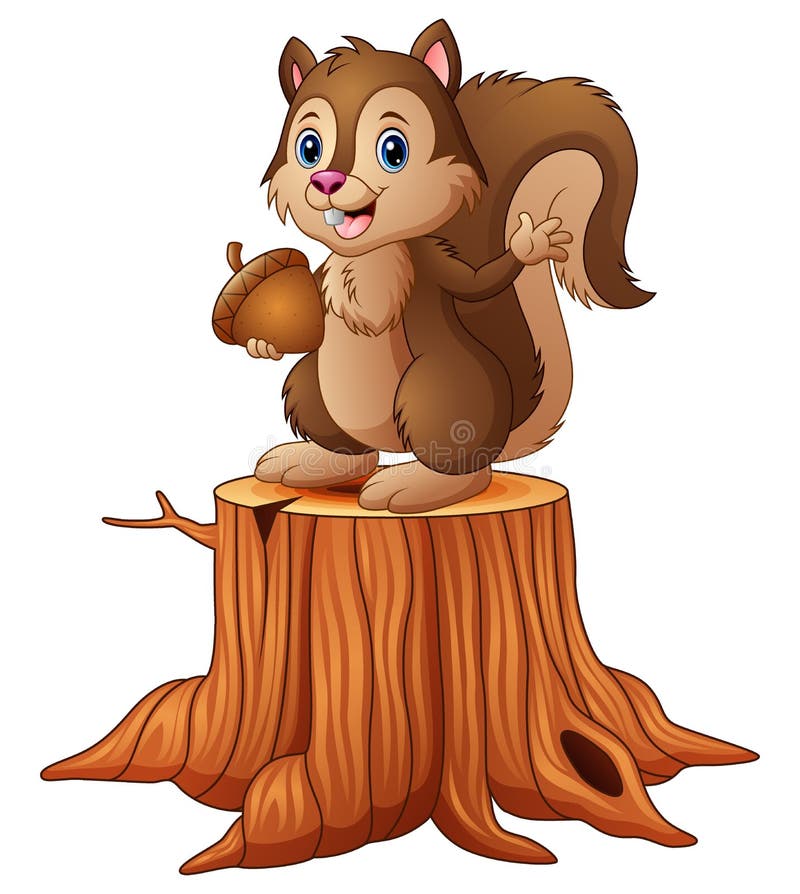 Cartoon Squirrel Standing on Tree Stump Holding an Acorn Stock Vector