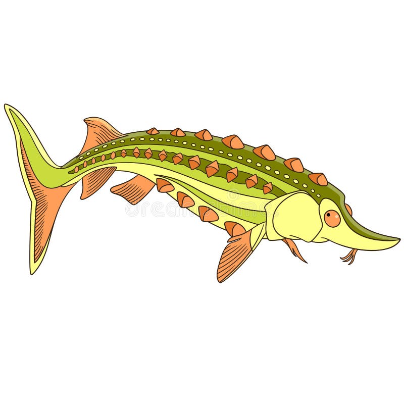 Cartoon sturgeon fish.