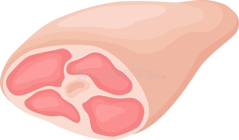 Cartoon style illustration featuring fresh pork meat, highlighting its significance in healthy diets and diverse stock illustration