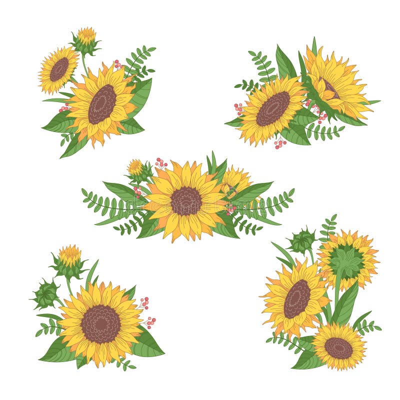 Cartoon Sunflowers Collection Stock Image - Image of garden, blossom:  247781979