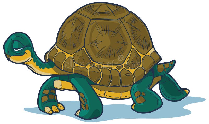 Easiest tortoise on sale