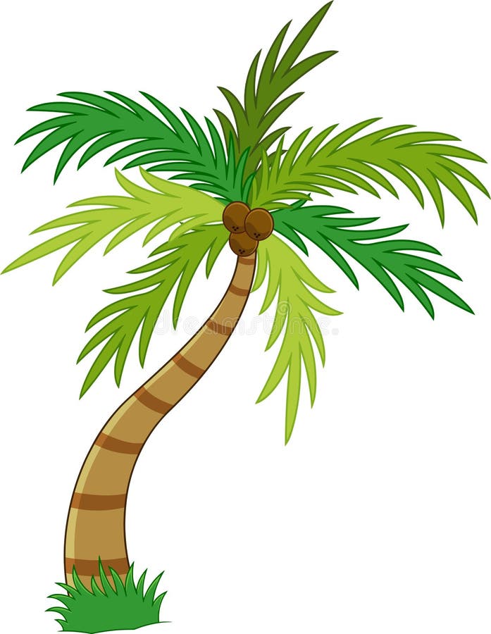 Cartoon Coconut Tree Stock Illustrations – 8,638 Cartoon Coconut Tree Stock  Illustrations, Vectors & Clipart - Dreamstime