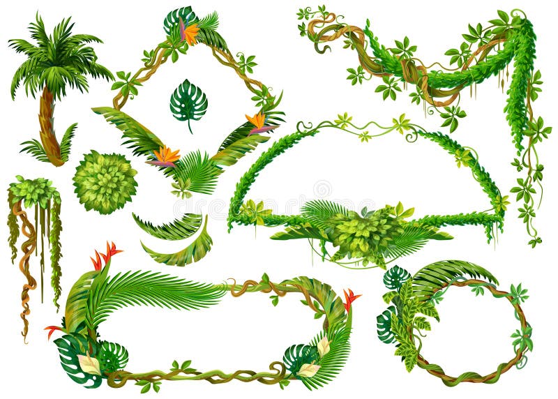 Cartoon tropical plants. Liana branches and forest jungle leaves, game frame elements with space for text. Vector royalty free illustration