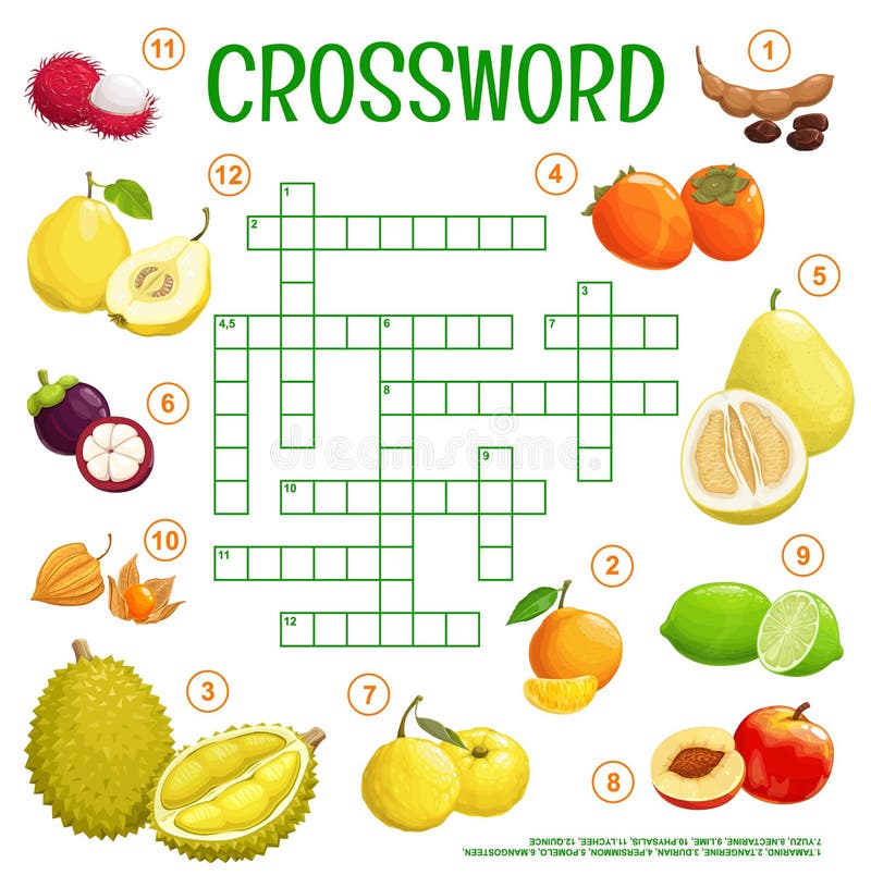 Cartoon tropical raw fruits on crossword grid quiz vector illustration