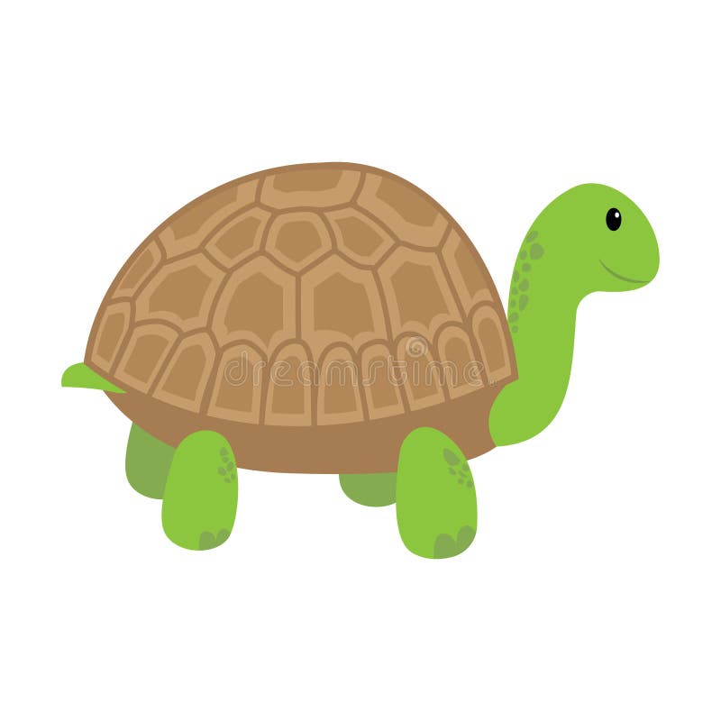 Cartoon Turtle. Illustration Isolated on White Background Stock Vector ...
