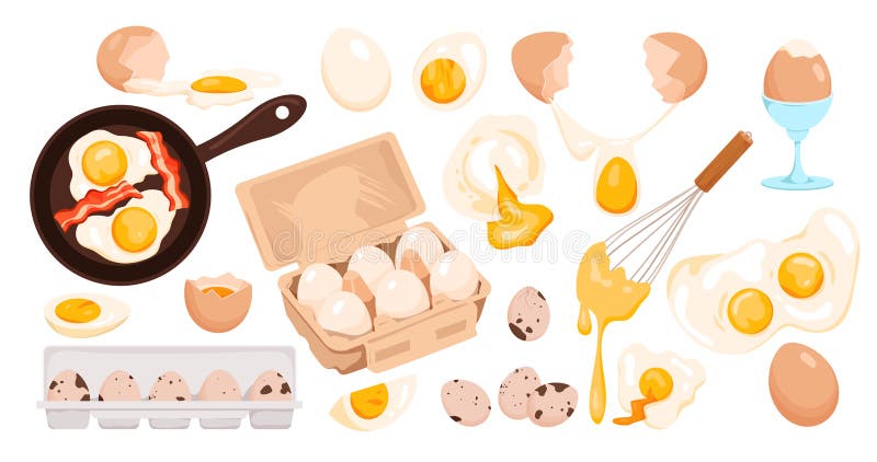 Cartoon whole fresh or boiled egg in shell or peeled, cut in half and quarter, fried with yolk flowing out and whipped stock illustration