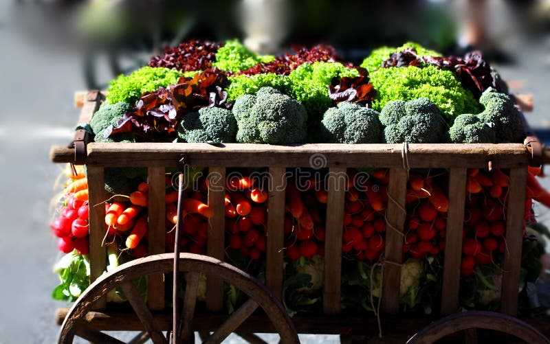 Färska ekologiska grönsaker på vagnar royaltyfri foto