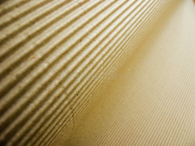 Close up of corrugated cardboard. Close up of corrugated cardboard.