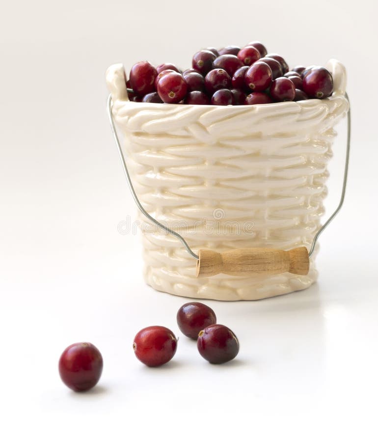 Winter card - Cranberries in bucked shaped vase against light backgound. Winter card - Cranberries in bucked shaped vase against light backgound