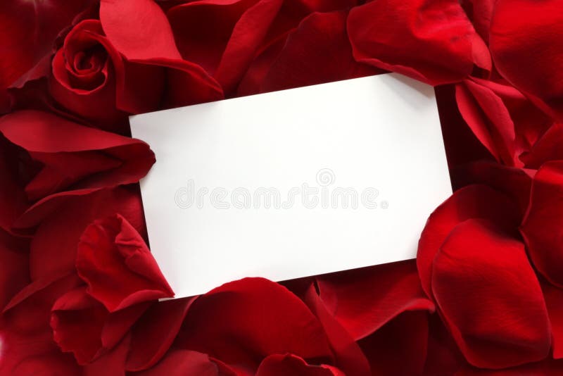 Cartão do presente nas pétalas de Rosa vermelhas