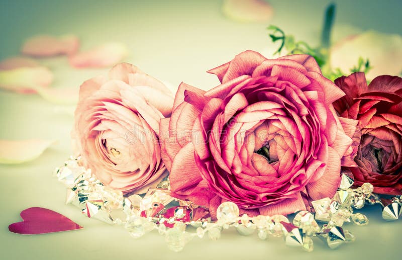 Cartão festivo com as rosas e o coração, tonificando