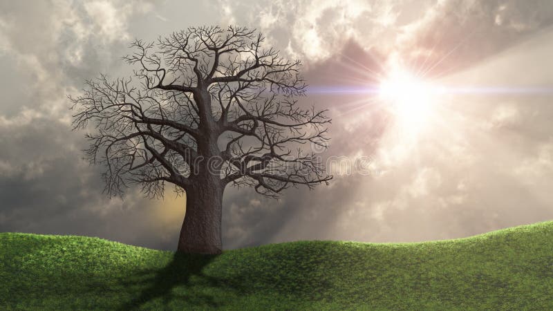 Carvalho ilustração royalty free