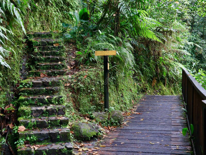 Steep Steps Leading To Lake Dock Stock Image - Image of steps, pond:  220289845