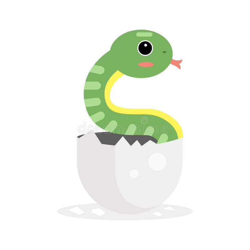 Carácter recién nacido lindo de la serpiente verde, reptil divertido en el ejemplo de la historieta del huevo ilustración del vector Carácter recién nacido lindo de la serpiente verde, reptil divertido en el ejemplo de la historieta del huevo ilustración del vector