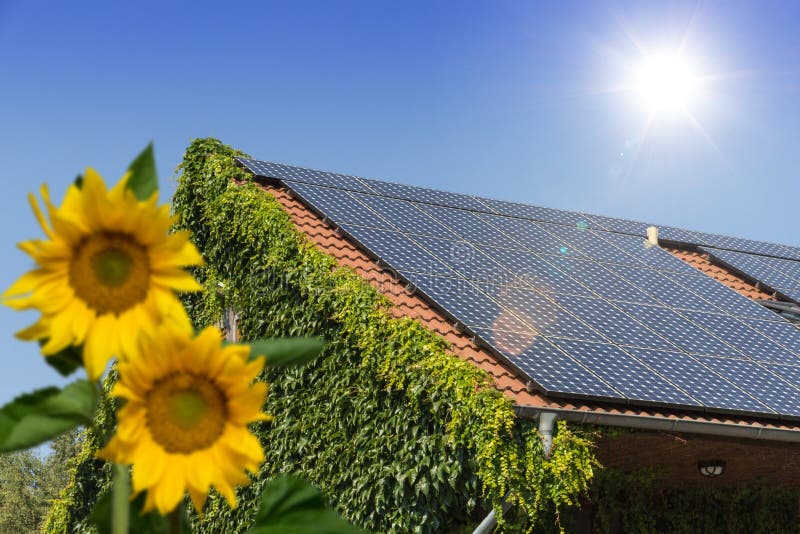 House with solar panels on the roof and sunflowers in the garden. House with solar panels on the roof and sunflowers in the garden