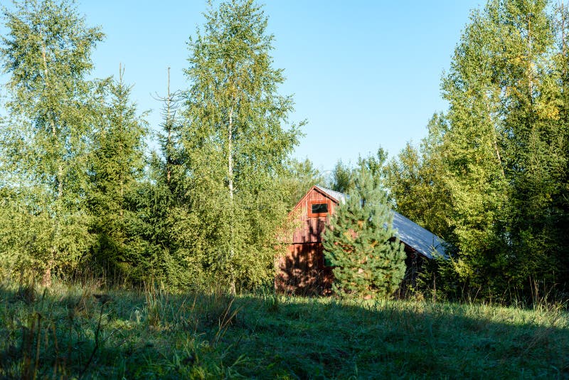 Casa de campo com carvalhos foto de stock